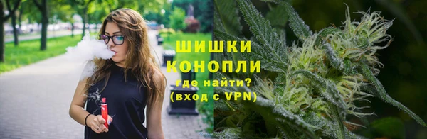 ПСИЛОЦИБИНОВЫЕ ГРИБЫ Каменногорск