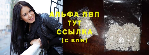 ПСИЛОЦИБИНОВЫЕ ГРИБЫ Каменногорск