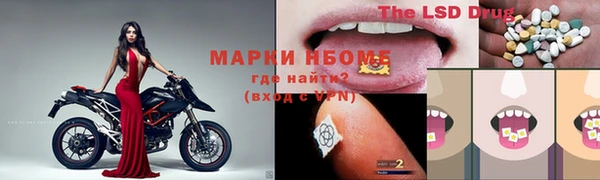 ПСИЛОЦИБИНОВЫЕ ГРИБЫ Каменногорск
