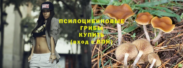 ПСИЛОЦИБИНОВЫЕ ГРИБЫ Каменногорск