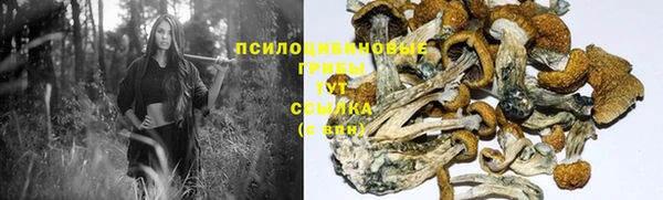 COCAINE Каменка